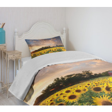 Sunflower Field Sky Bedspread Set