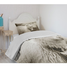 Fluffy Wooly Sheep Herd Bedspread Set