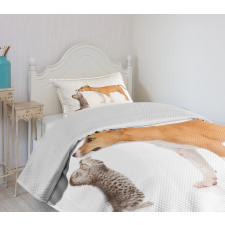 Kitten and a Stafford Puppy Bedspread Set