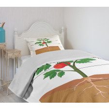 Parts of a Tomato Plant Bedspread Set