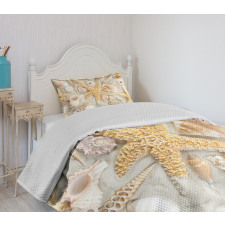 Assorted Seashells Sand Beach Bedspread Set