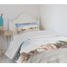 Seashells on Sand Hill Sky Bedspread Set