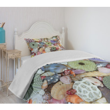 Closeup Colorful Big Little Bedspread Set