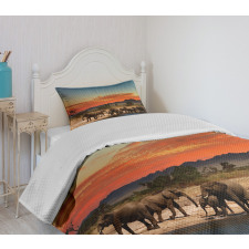 Safari Wildlife Bedspread Set