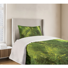 Sun Beams Tropic Forest Bedspread Set