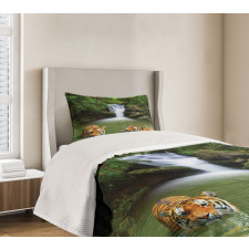 Siberian Tigers Bedspread Set