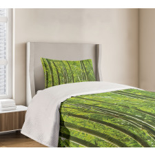 Exotic Tropical Bamboo Bedspread Set