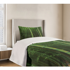 Exotic Bamboo Tree Forest Bedspread Set