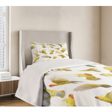 Peach Face Love Birds Bedspread Set