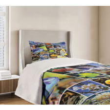 Collage of Underwater Bedspread Set