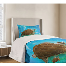 Swimming Turtle Family Bedspread Set