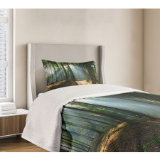 City Park Hazy Morning Bedspread Set