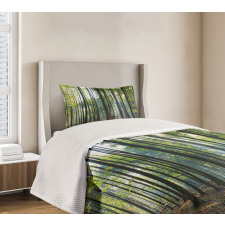 Sunbeams Serene Morning Bedspread Set