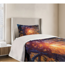 Majestic Trees Woods Bedspread Set