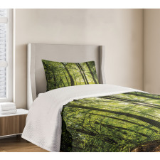 Sunny Forest Springtime Bedspread Set