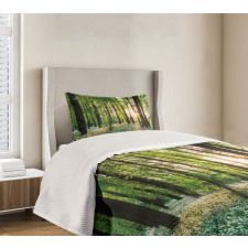 Sunny Forest Blossoms Bedspread Set