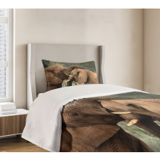 Safari Animals Savanna Bedspread Set