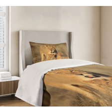 Safari Lions Wilderness Bedspread Set