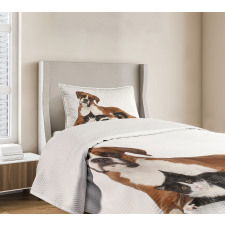 Cat Dog Friends Portrait Bedspread Set