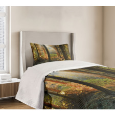 Sunset Dark Pine Trees Bedspread Set