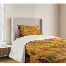 Fall Pale Maple Trees Bedspread Set