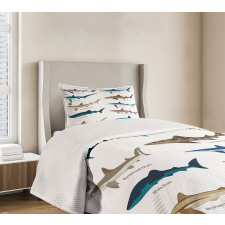 Cartoon Shark Types Wild Bedspread Set