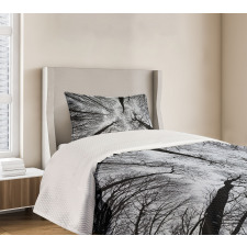 Dark Winter Forest Tree Bedspread Set