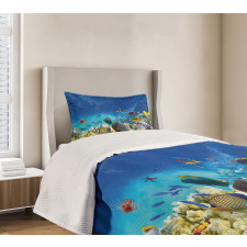 Ocean Animals Bedspread Set