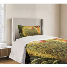 Cactus Plant with Spikes Bedspread Set