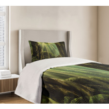 Sunbeam Moss Tree Bodies Bedspread Set