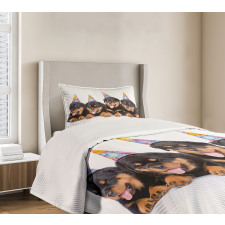 Birthday Dogs Hats Bedspread Set