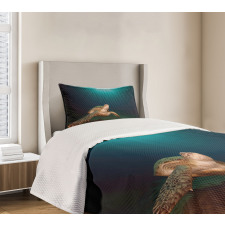 Green Turtle Sunbeam Bedspread Set