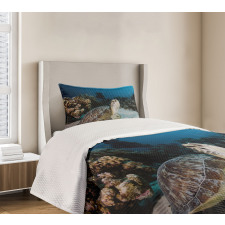 Turtle Coral Reef Bedspread Set