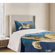 Hawksbill Sea Turtle Bedspread Set