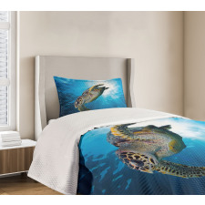 Sea Turtle Diving Bedspread Set