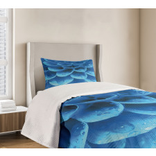 Gerbera Abstract Petals Bedspread Set