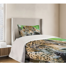 Jaguar Wildcat Feline Bedspread Set