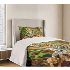 Jaguar on Wood Wild Feline Bedspread Set