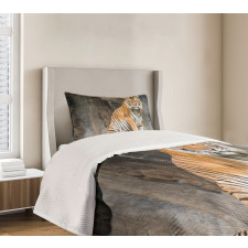 Bengal Tiger Cat Predator Bedspread Set