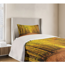 Seasonal Scenic Park Bedspread Set