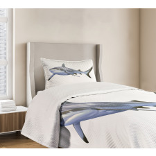 Large Reef Futuristicrt Bedspread Set