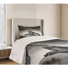 Wild Lioness Bedspread Set