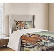 Large Calm Wild Cat Blur Bedspread Set