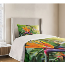 Bird of Paradise Flower Bedspread Set