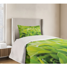 Lush Green Leaves Bedspread Set