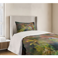 Young Wild Fox in Woodland Bedspread Set