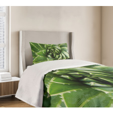 Green Leaf Exotic Mexico Bedspread Set