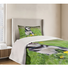 Puppy on Grass Bedspread Set