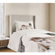 Puppy Friends Bedspread Set