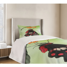 Open Cocoon Bedspread Set